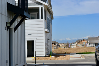 2102 Setting Sun Dr in Windsor, CO - Building Photo - Building Photo