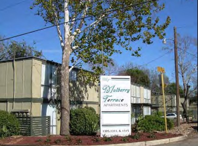 Mulberry Terrace Apartments in San Antonio, TX - Building Photo - Building Photo