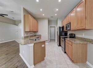 4739 Mapletree Loop in Wesley Chapel, FL - Building Photo - Building Photo