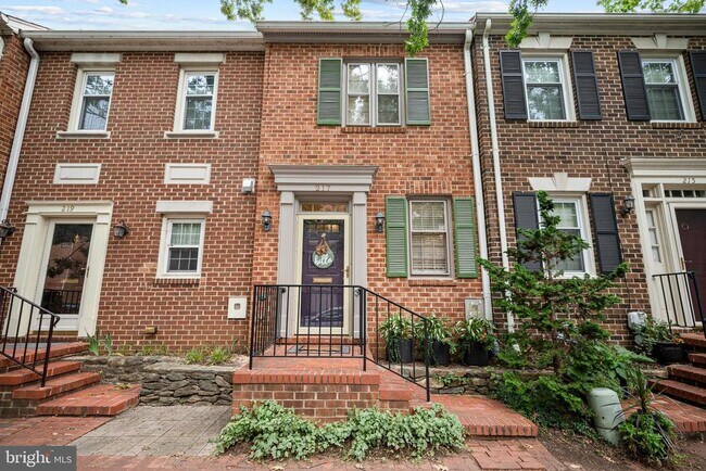 property at 217 Oronoco St