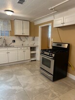 4519 Cook St in Denver, CO - Building Photo