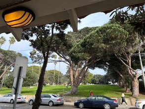 243 Hollister Ave in Santa Monica, CA - Building Photo - Building Photo