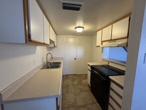 3935 W Palomino Rd in Phoenix, AZ - Building Photo - Building Photo