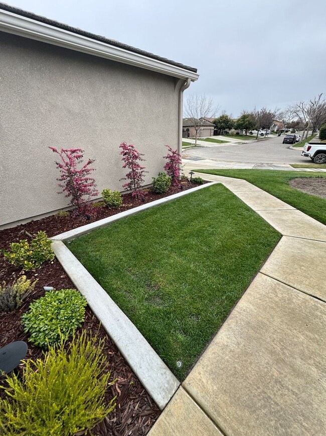 2310 W Tyler Ave in Visalia, CA - Building Photo - Building Photo