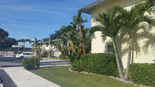 Bradenton Palms in Bradenton, FL - Building Photo