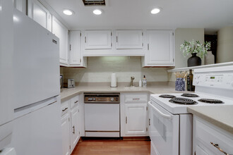 1010 Independence Ave SE-Unit -ID1020011P in Washington, DC - Building Photo - Building Photo