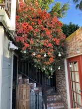 2142 Baxter St in Los Angeles, CA - Foto de edificio - Building Photo