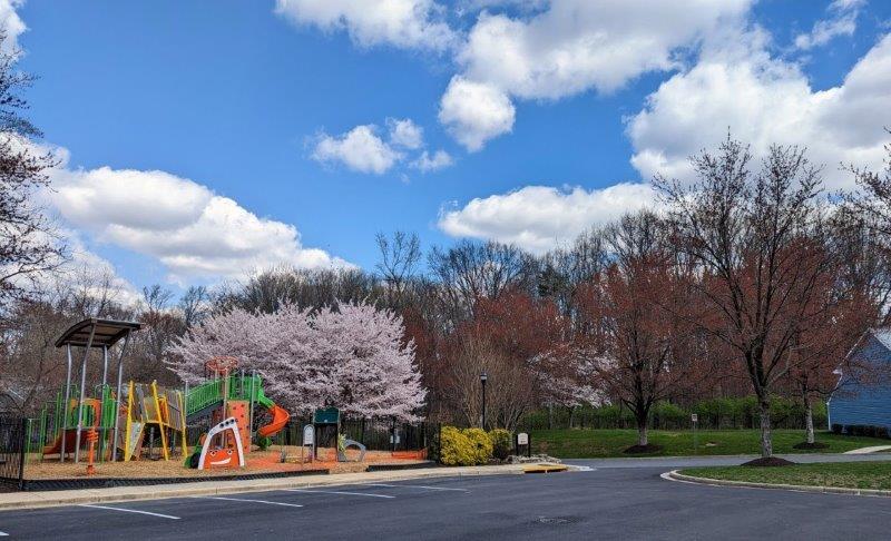 Stewartown Homes in Gaithersburg, MD - Building Photo