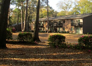 Mossy Oaks Village in Beaufort, SC - Foto de edificio - Building Photo