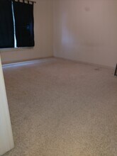 1655 Little Bear Creek Point in Colorado Springs, CO - Building Photo - Building Photo