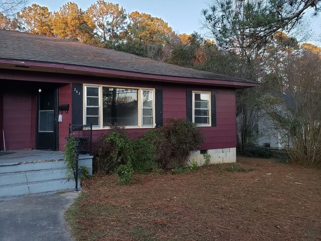 203 Williamson St in Louisburg, NC - Building Photo - Building Photo