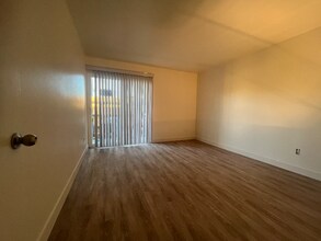 407 Requeza St in Encinitas, CA - Building Photo - Building Photo