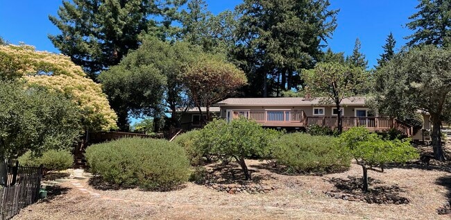 25870 Adams Rd in Los Gatos, CA - Building Photo - Building Photo