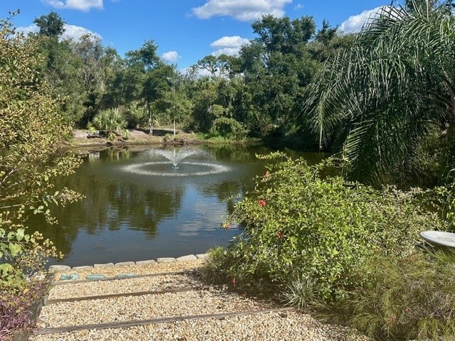 4710 Lighterwood Way in Valrico, FL - Building Photo - Building Photo