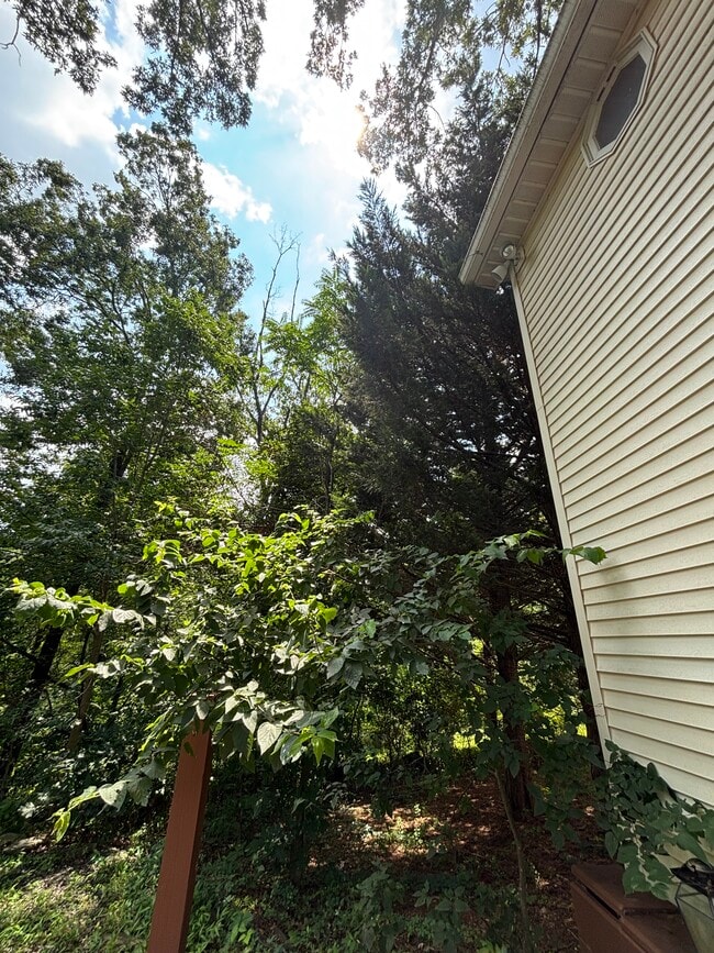 3379 Mill Creek Rd in Haymarket, VA - Building Photo - Building Photo