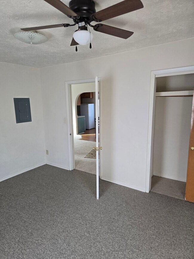 235 W Hall St in Leland, IL - Building Photo - Building Photo