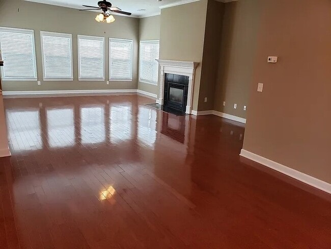 13038 Peach View Dr in Knoxville, TN - Building Photo - Building Photo