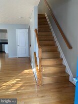 3282 Halcyon Ct in Ellicott City, MD - Building Photo