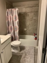 5582 Bristow Rd in Timnath, CO - Building Photo - Building Photo