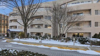 100 Cutter Mill Rd in Great Neck, NY - Building Photo