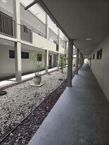 5 Olive Dr in Hialeah, FL - Building Photo