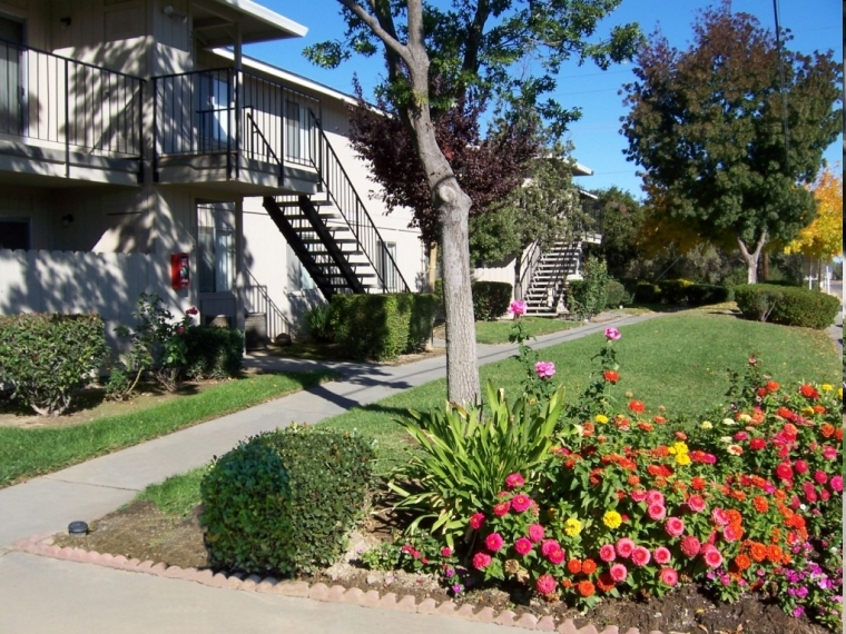 Spring Mountain in Corning, CA - Building Photo