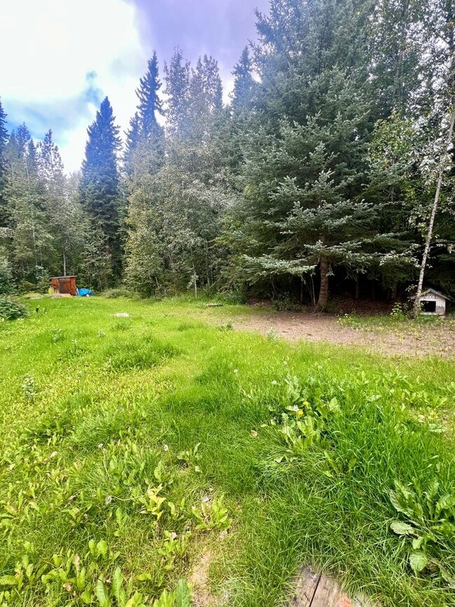 588 Ester Loop in Fairbanks, AK - Building Photo - Building Photo