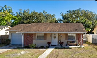 8903 Spruce Ln in Tampa, FL - Building Photo