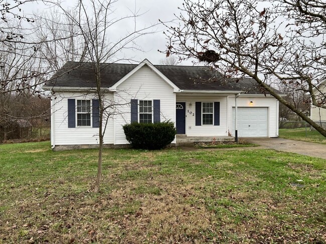 property at 102 Wassom Ct