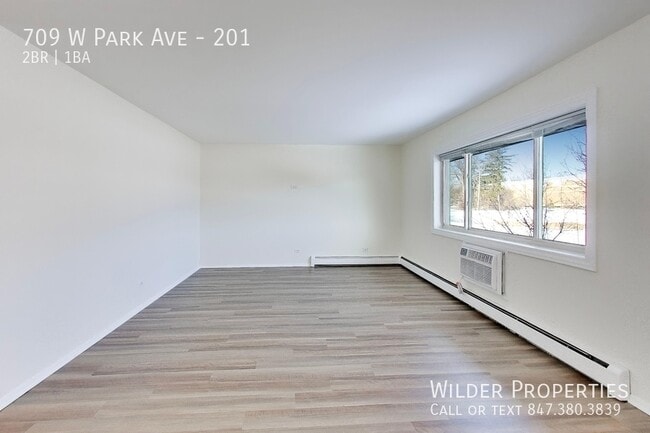 709 W Park Ave in Libertyville, IL - Building Photo - Building Photo