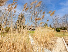 146 Heady Creek Ln in Southampton, NY - Building Photo - Building Photo