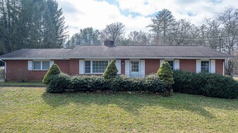 20 Delphia Dr in Brevard, NC - Building Photo