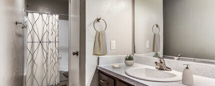 Shadow Ridge in Arlington, TX - Building Photo - Building Photo