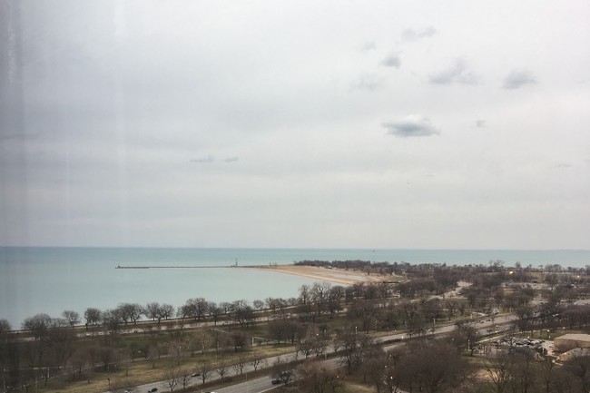 5100 N Marine Dr, Unit 23C in Chicago, IL - Building Photo - Building Photo