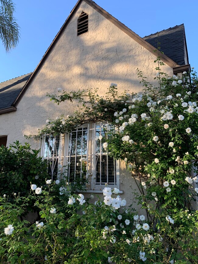 6265 Drexel Ave Rentals in Los Angeles, CA