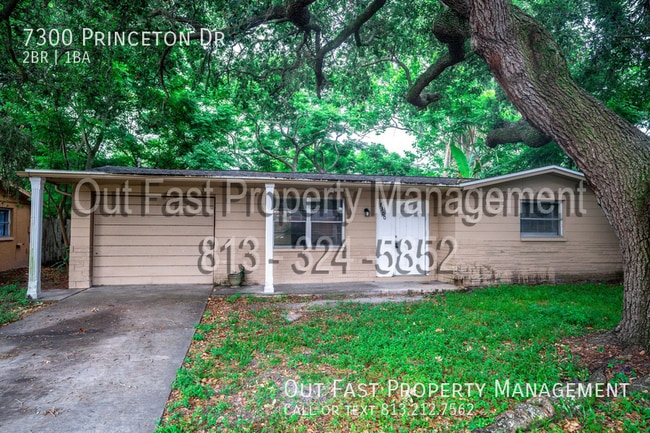 property at 7300 Princeton Dr