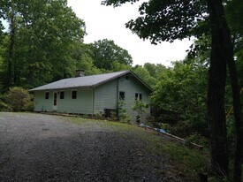 295 Ozzie Cornett Dr in Boone, NC - Building Photo