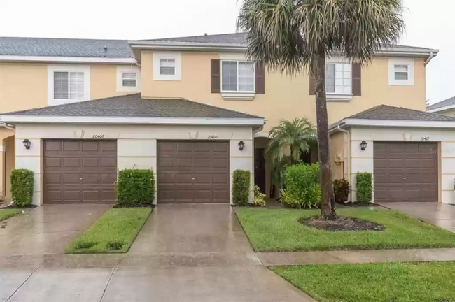 20410 Needletree Dr in Tampa, FL - Building Photo - Building Photo