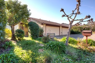 19 Shannon Ct in Novato, CA - Building Photo