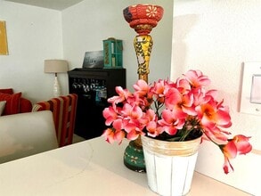 415 Mapleway in Safety Harbor, FL - Building Photo - Building Photo