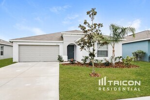17224 White Mangrove Dr in Wimauma, FL - Building Photo