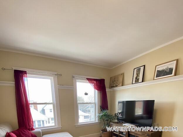 258 Belmont St in Watertown, MA - Foto de edificio - Building Photo
