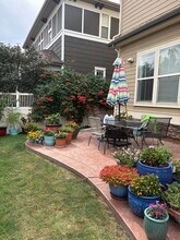 11666 Osceola St, Unit Basement apartment in Westminster, CO - Building Photo - Building Photo