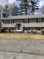 34 Turmaine St in Marlborough, MA - Building Photo