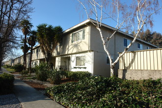 Palm Haven Apartments in San Jose, CA - Building Photo - Building Photo