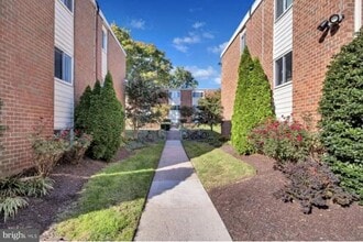 3506 Beech Ave in Baltimore, MD - Foto de edificio - Building Photo