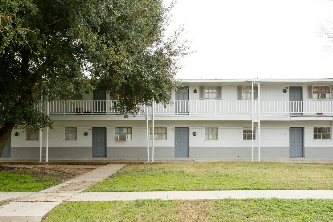 The Colony in Houston, TX - Building Photo