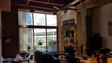 360 W Illinois St-Unit -#205 in Chicago, IL - Building Photo - Building Photo