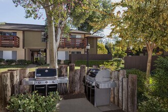 Canyon Pines Apartments in Brea, CA - Building Photo - Building Photo