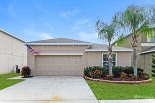 10923 Rainbow Pyrite Dr in Wimauma, FL - Building Photo